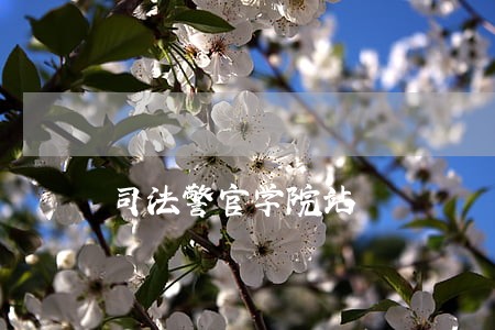 司法警官学院站 司法警官学院站