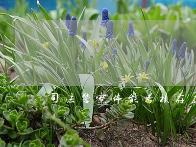 司法警察体能考核存在的问题 司法警察体能考核存在的问题