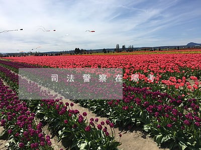 司法警察在哪考 司法警察在哪考