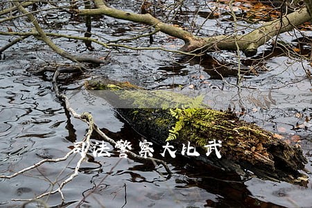 司法警察大比武