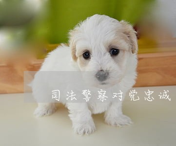 司法警察对党忠诚