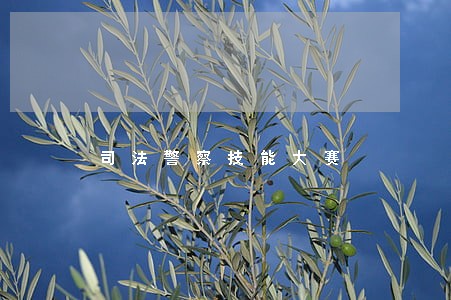 司法警察技能大赛