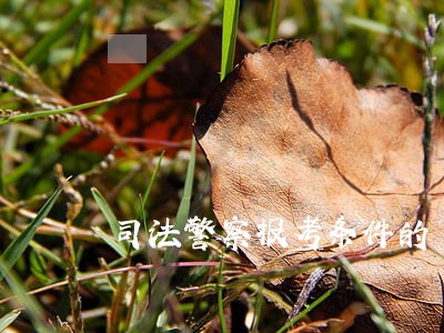 司法警察报考条件的 司法警察报考条件的