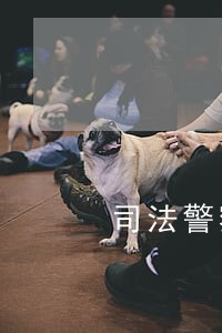 司法警察看管的组织实施 司法警察看管的组织实施