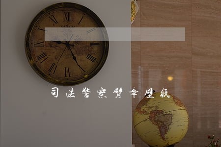 司法警察臂章壁纸 司法警察臂章壁纸