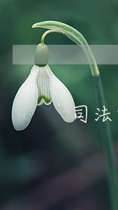 司法警察首授个人小结 司法警察首授个人小结