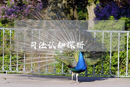 司法认知探析 司法认知探析