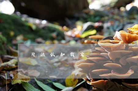 司法认知载定 司法认知载定