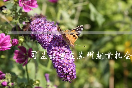 司法证书在苏州就业机会 司法证书在苏州就业机会