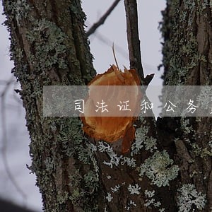 司法证和公务员哪个难考 司法证和公务员哪个难考