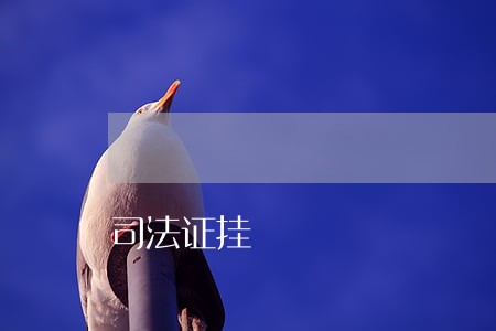 司法证挂 司法证挂