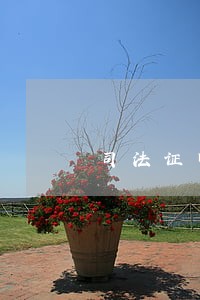 司法证明无效 司法证明无效