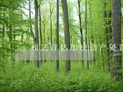 司法评估加快资产处置办法