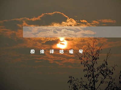 司法评估摇号