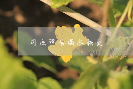 司法评估漏水损失 司法评估漏水损失