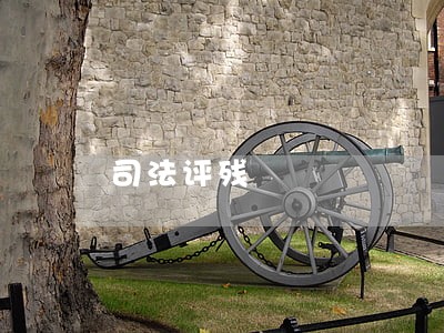司法评残 司法评残