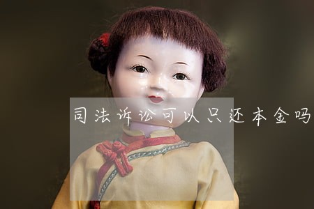 司法诉讼可以只还本金吗 司法诉讼可以只还本金吗