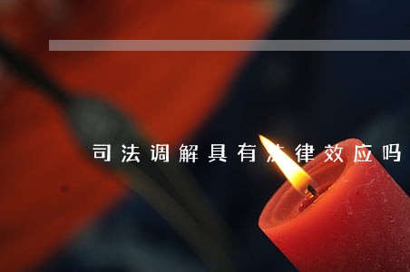司法调解具有法律效应吗