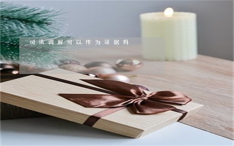 司法调解可以作为证据吗 司法调解可以作为证据吗