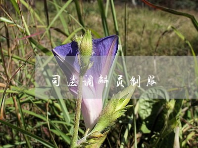 司法调解员制服 司法调解员制服