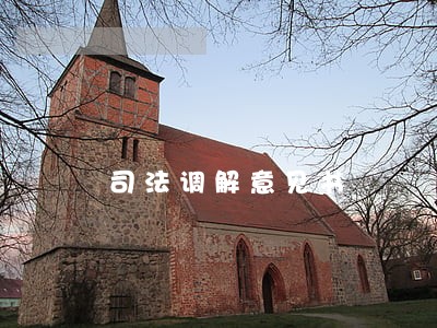 司法调解意见书 司法调解意见书