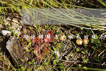 司法调解房产继承的程序 司法调解房产继承的程序