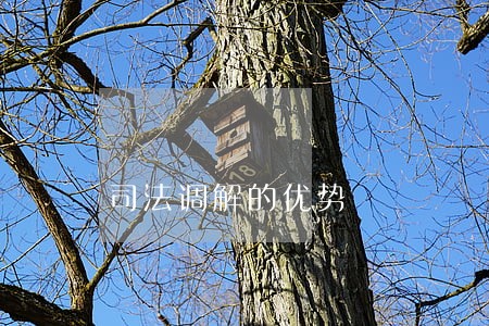 司法调解的优势 司法调解的优势