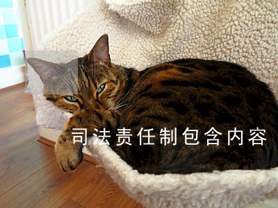 司法责任制包含内容 司法责任制包含内容