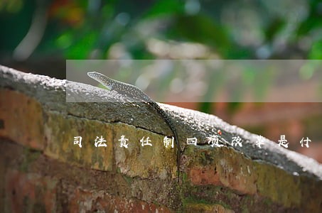 司法责任制四项改革是什么
