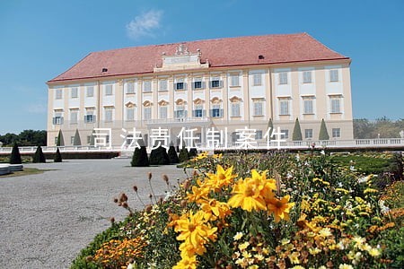司法责任制案件 司法责任制案件