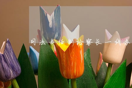 司法责任制检察长一线办案 司法责任制检察长一线办案