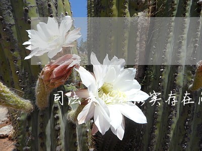 司法责任制落实存在问题和困难 司法责任制落实存在问题和困难