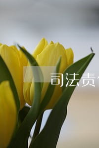 司法责任综合配套改革
