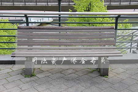 司法资产保全专员 司法资产保全专员