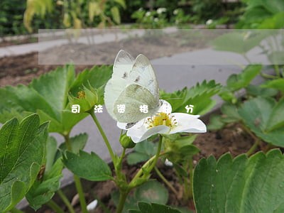 司法资格总分 司法资格总分