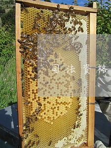 司法资格考试怎么算通过 司法资格考试怎么算通过