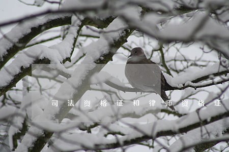 司法资格证和律师资格证 司法资格证和律师资格证