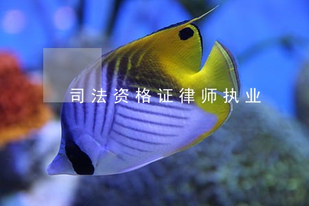 司法资格证律师执业 司法资格证律师执业