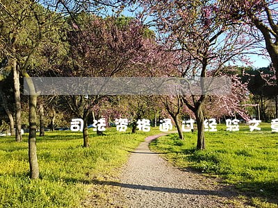 司法资格通过经验文章