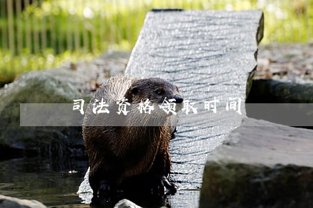 司法资格领取时间 司法资格领取时间