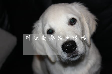 司法资源的有限性 司法资源的有限性