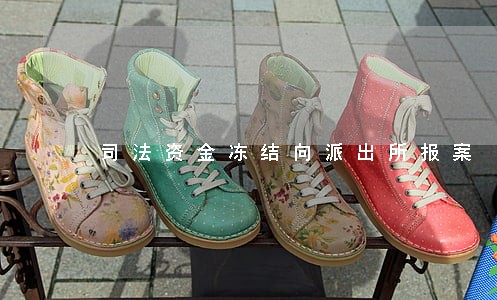 司法资金冻结向派出所报案 司法资金冻结向派出所报案