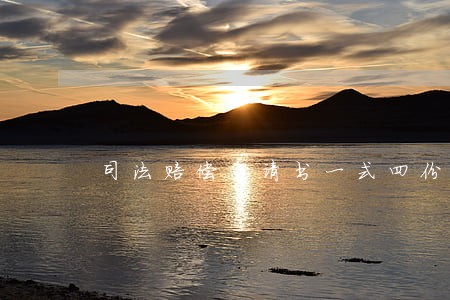 司法赔偿申请书一式四份 司法赔偿申请书一式四份
