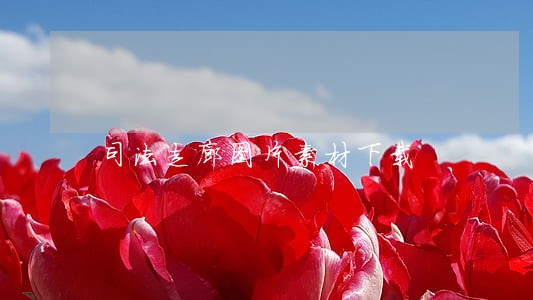 司法走廊图片素材下载