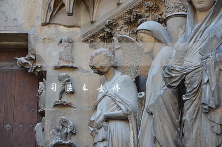司法车违停