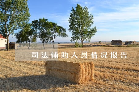 司法辅助人员情况报告 司法辅助人员情况报告