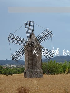 司法辅助人员薪酬方案
