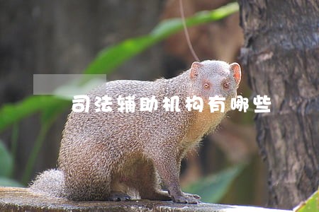 司法辅助机构有哪些 司法辅助机构有哪些