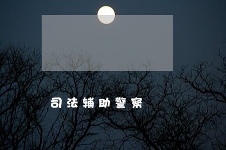 司法辅助警察 司法辅助警察