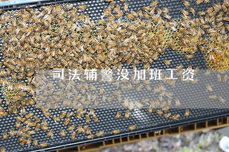 司法辅警没加班工资 司法辅警没加班工资